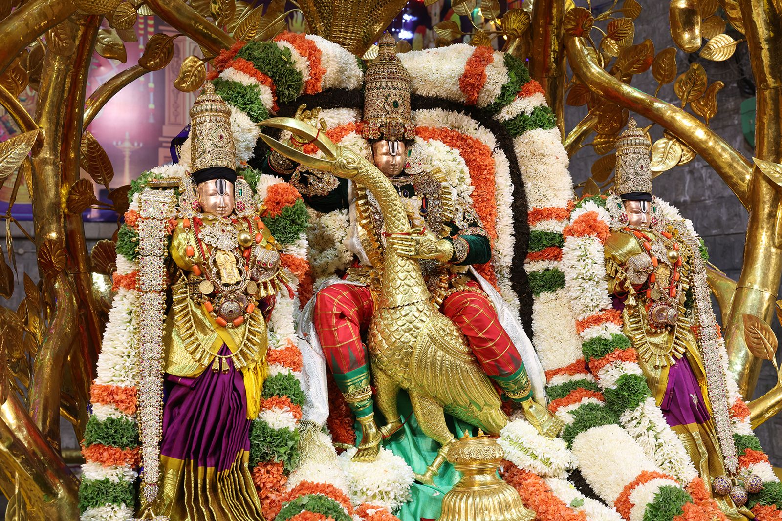 కల్పవృక్ష వాహనంపై బకాసుర వధ అలంకారంలో శ్రీ మలయప్పస్వామి కటాక్షం భక్తిభావంతో పరవశించిన తిరుమల.. భజనలు, కోలాటాలతో ఆధ్యాత్మిక శోభ