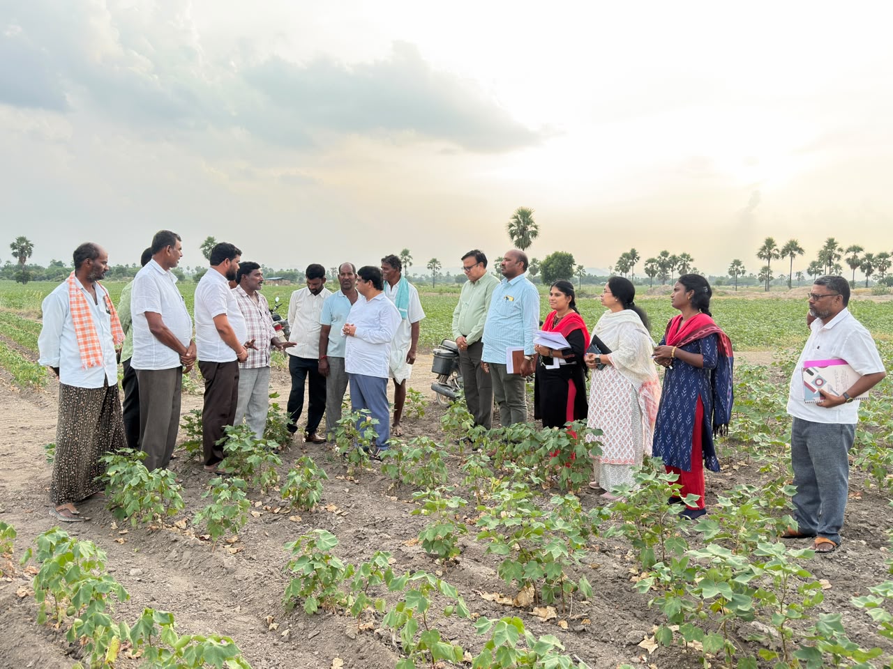 సూర్యాపేట, నల్గొండ, యాదాద్రి భువనగిరి జిల్లాల్లో క్షేత్ర పర్యటన కాలీఫ్లవర్, షేడ్ నెట్ హౌస్, పత్తి పంటలను పరిశీలించిన వ్యవసాయ ఉత్పత్తి కమిషనర్ సురేంద్రమోహన్